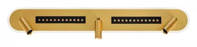 Светильник потолочный ARTE LAMP A2220PL-3GO