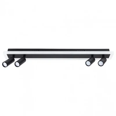 Светильник потолочный ARTE LAMP A2607PL-30BK