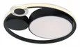 Светильник потолочный ARTE LAMP A2690PL-1BK