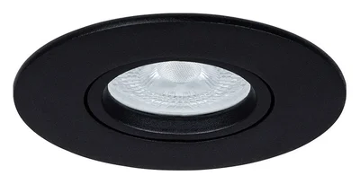 Светильник потолочный ARTE LAMP A2867PL-1BK