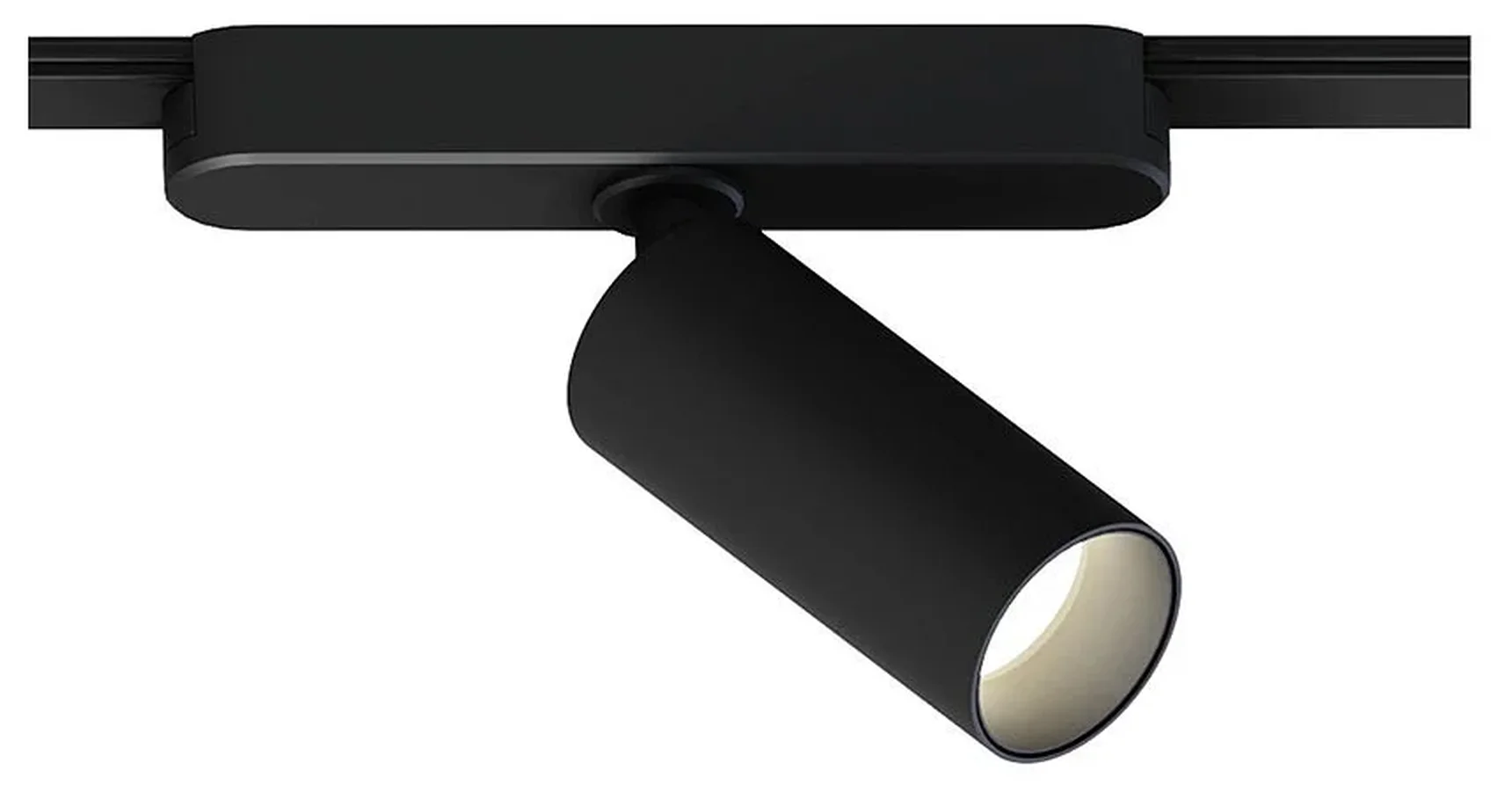 Светильник потолочный RAPID ARTE LAMP A2956PL-1BK