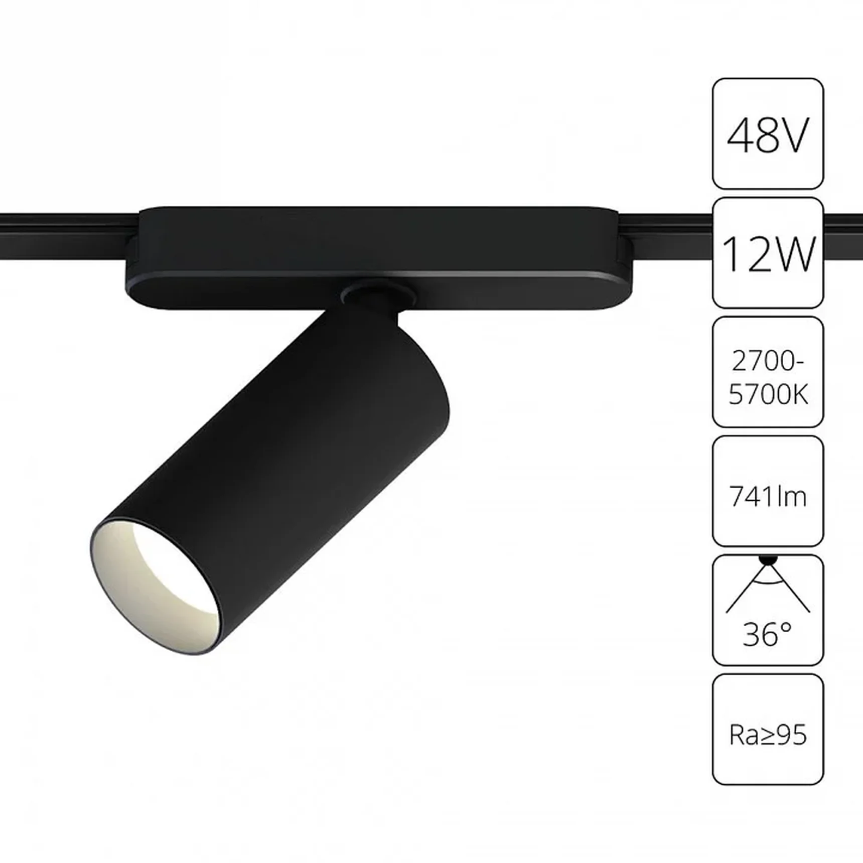 Светильник потолочный RAPID ARTE LAMP A2958PL-1BK