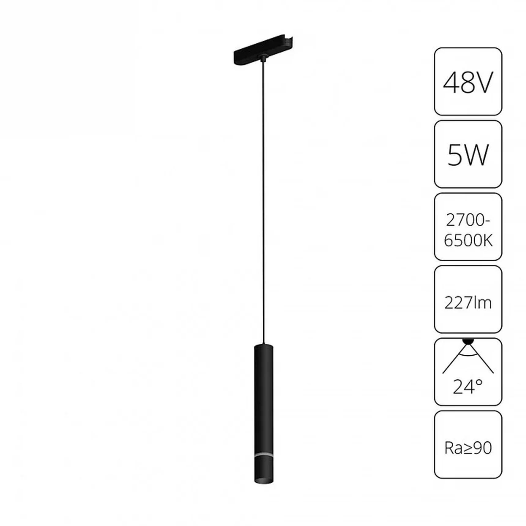 Светильник подвесной RAPID ARTE LAMP A2959PL-1BK