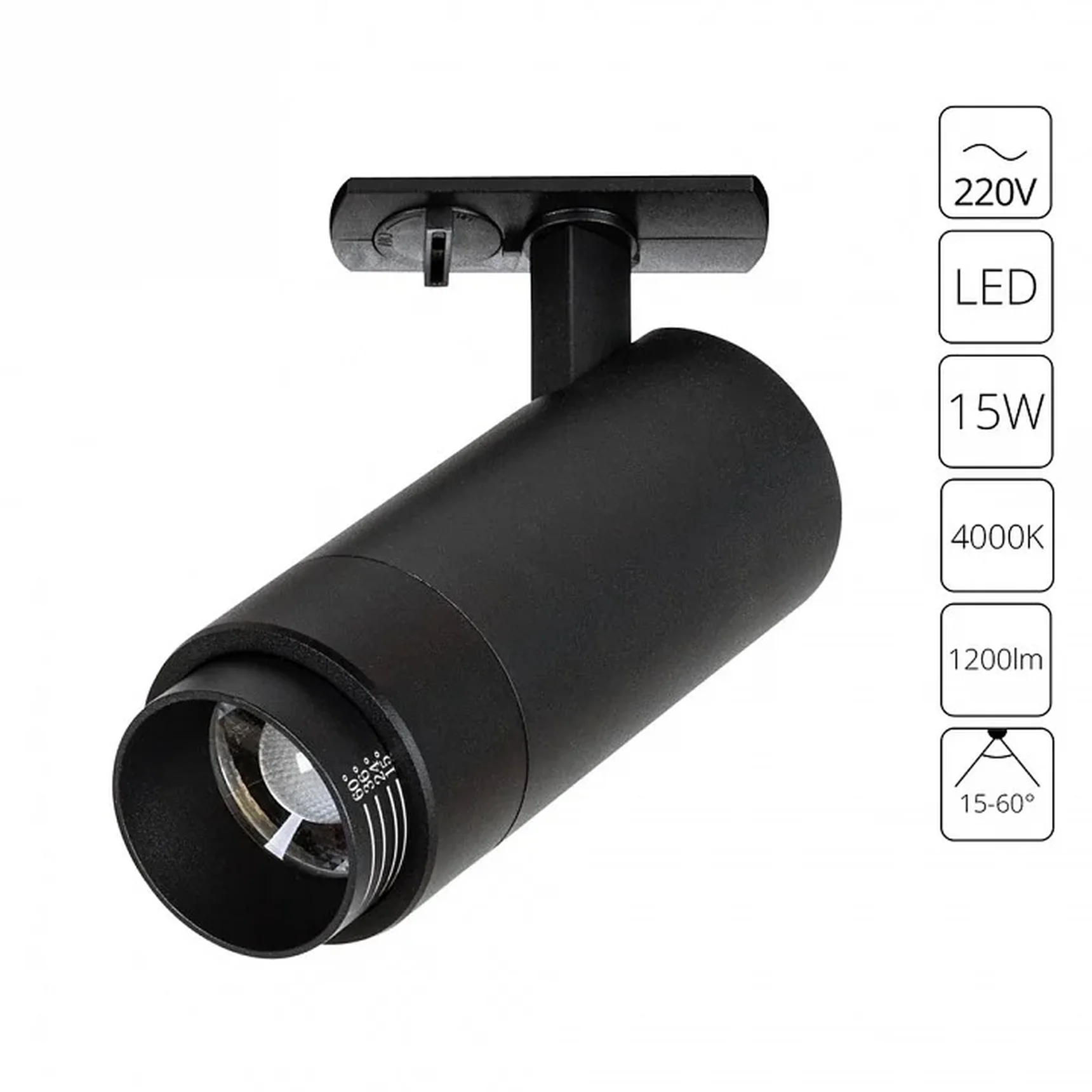 Светильник потолочный ARTE LAMP A3540PL-1BK