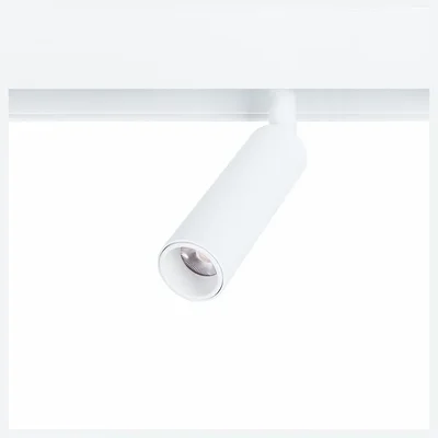 Светильник потолочный ARTE LAMP A4660PL-1WH