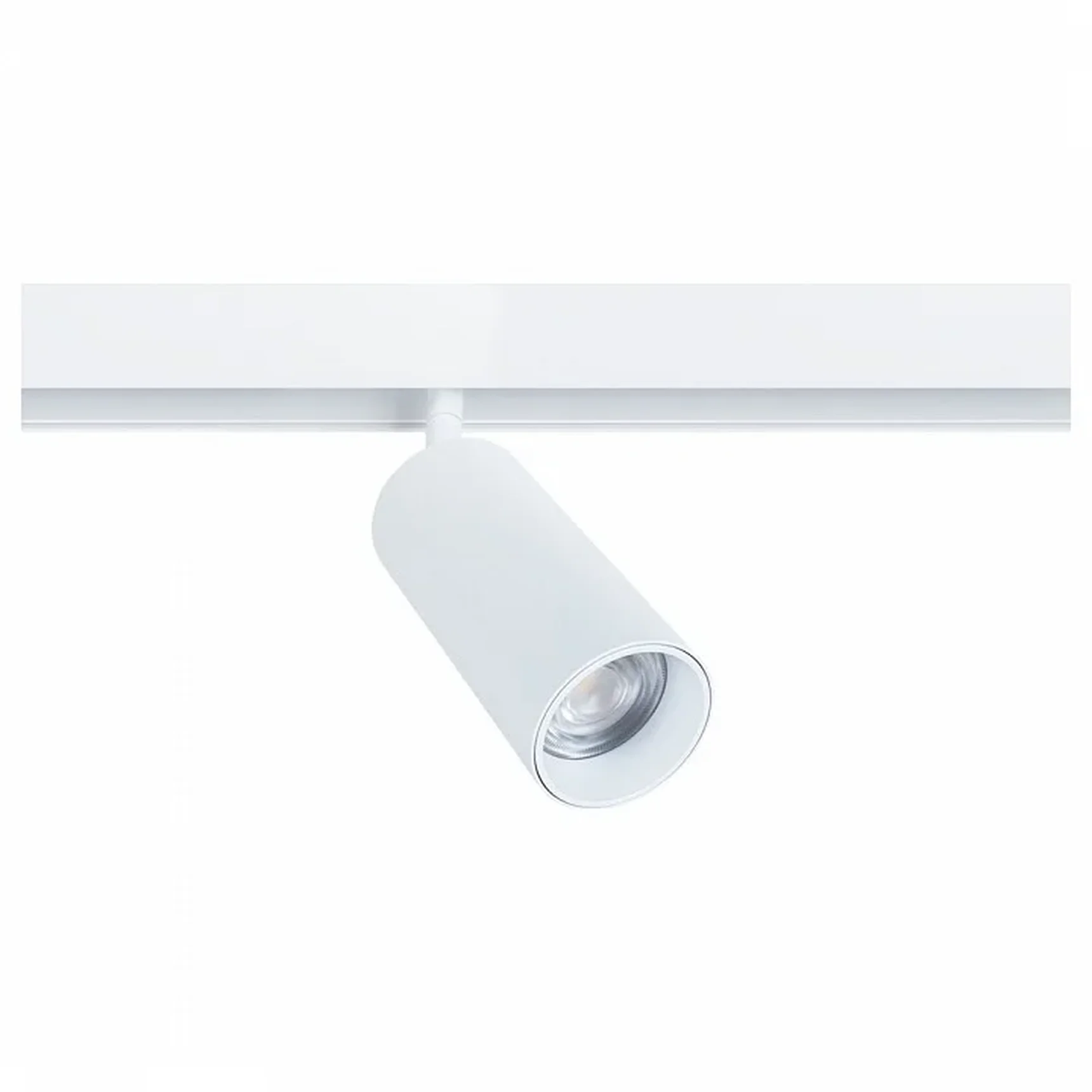 Светильник потолочный ARTE LAMP A4661PL-1WH