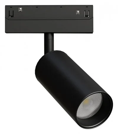 Светильник потолочный LINEA ARTE LAMP A4681PL-1BK