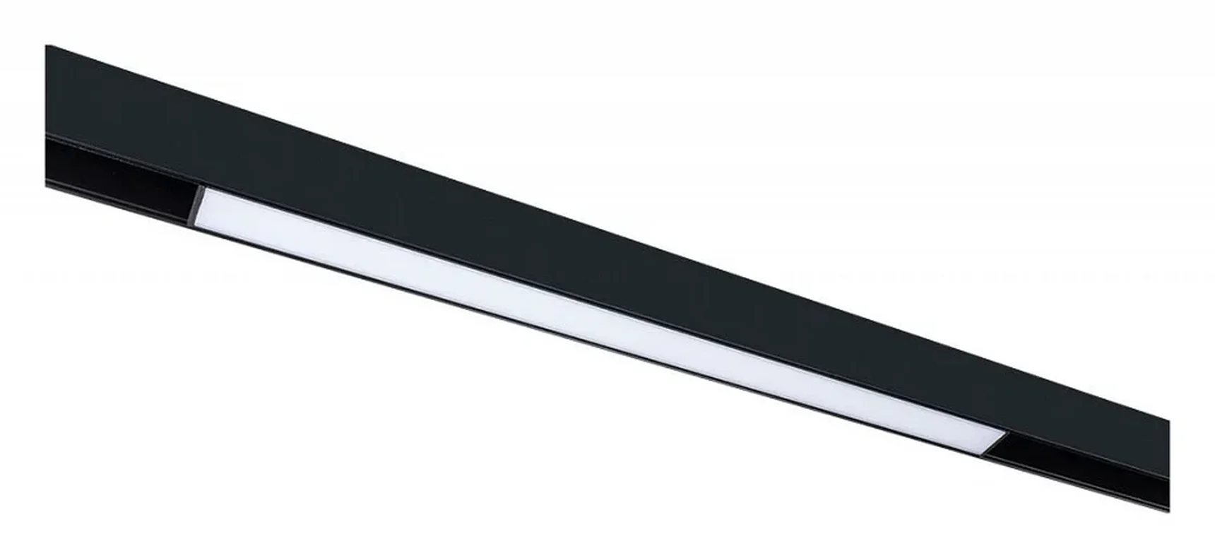 Светильник потолочный LINEA ARTE LAMP A4682PL-1BK
