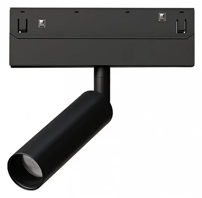 Светильник потолочный LINEA ARTE LAMP A4690PL-1BK