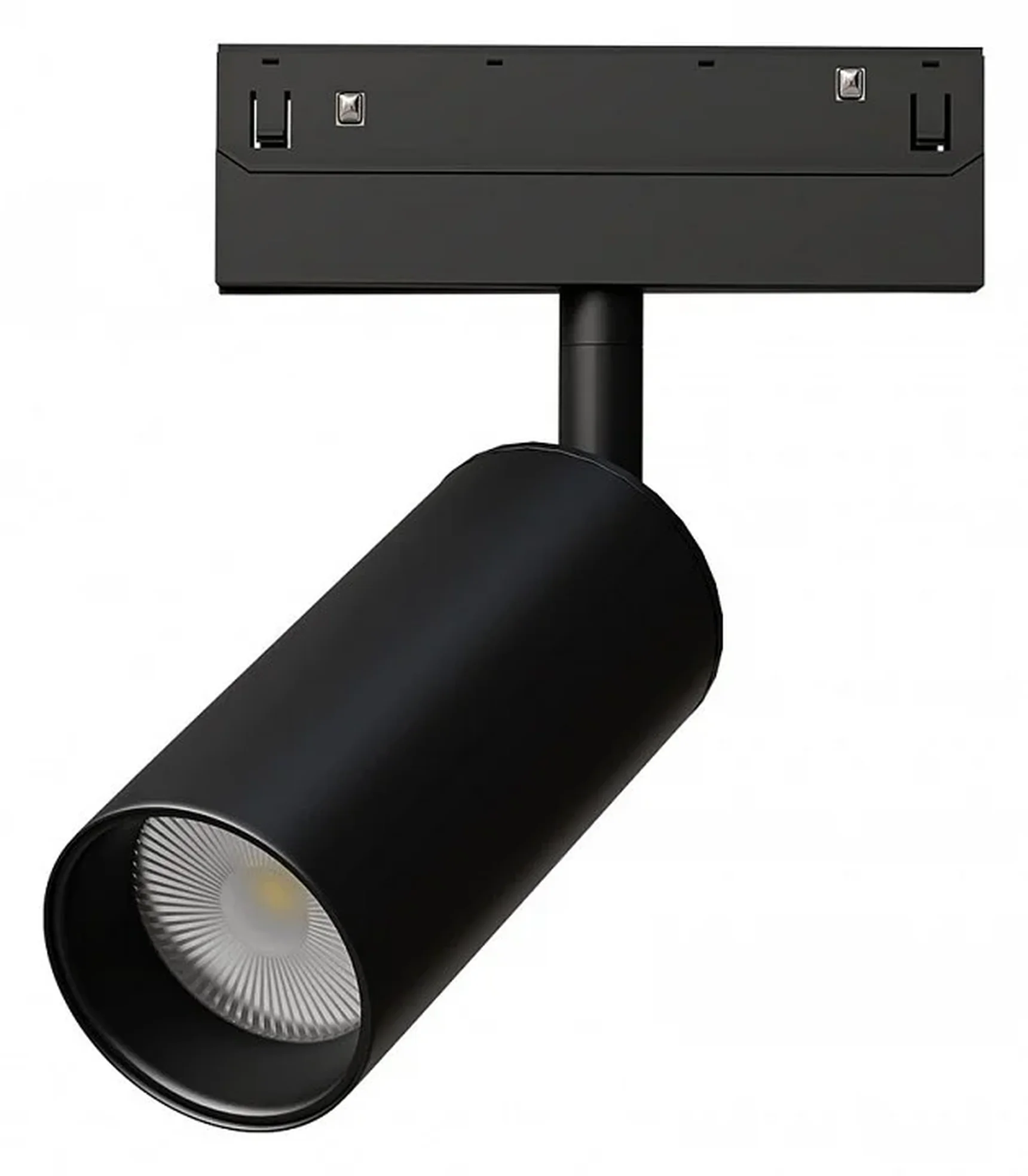 Светильник потолочный LINEA ARTE LAMP A4691PL-1BK