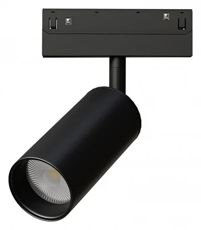 Светильник потолочный LINEA ARTE LAMP A4691PL-1BK