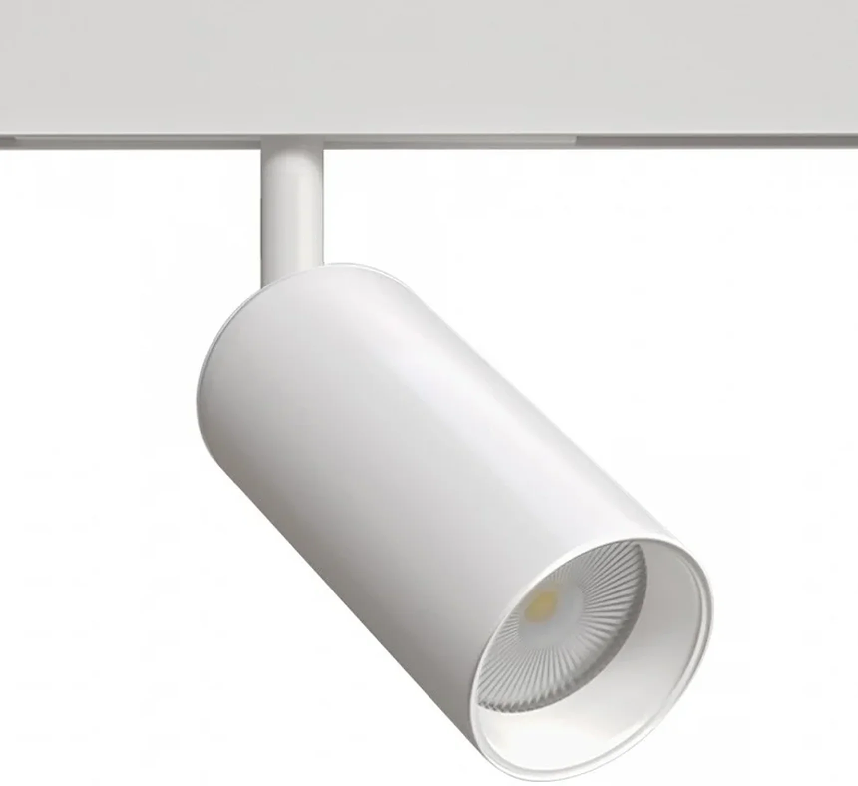 Светильник потолочный ARTE LAMP A4691PL-1WH