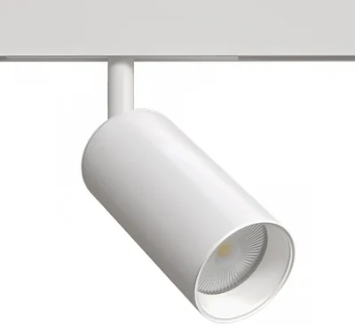 Светильник потолочный ARTE LAMP A4691PL-1WH