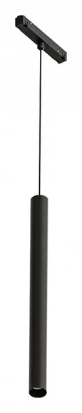 Светильник подвесной ARTE LAMP A4770SP-1BK