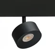 Светильник потолочный ARTE LAMP A4771PL-1BK
