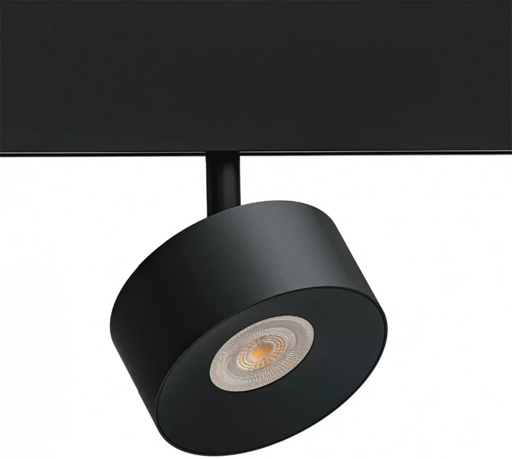 Светильник потолочный ARTE LAMP A4771PL-1BK