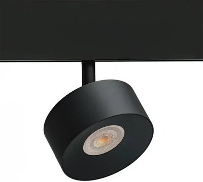 Светильник потолочный ARTE LAMP A4771PL-1BK
