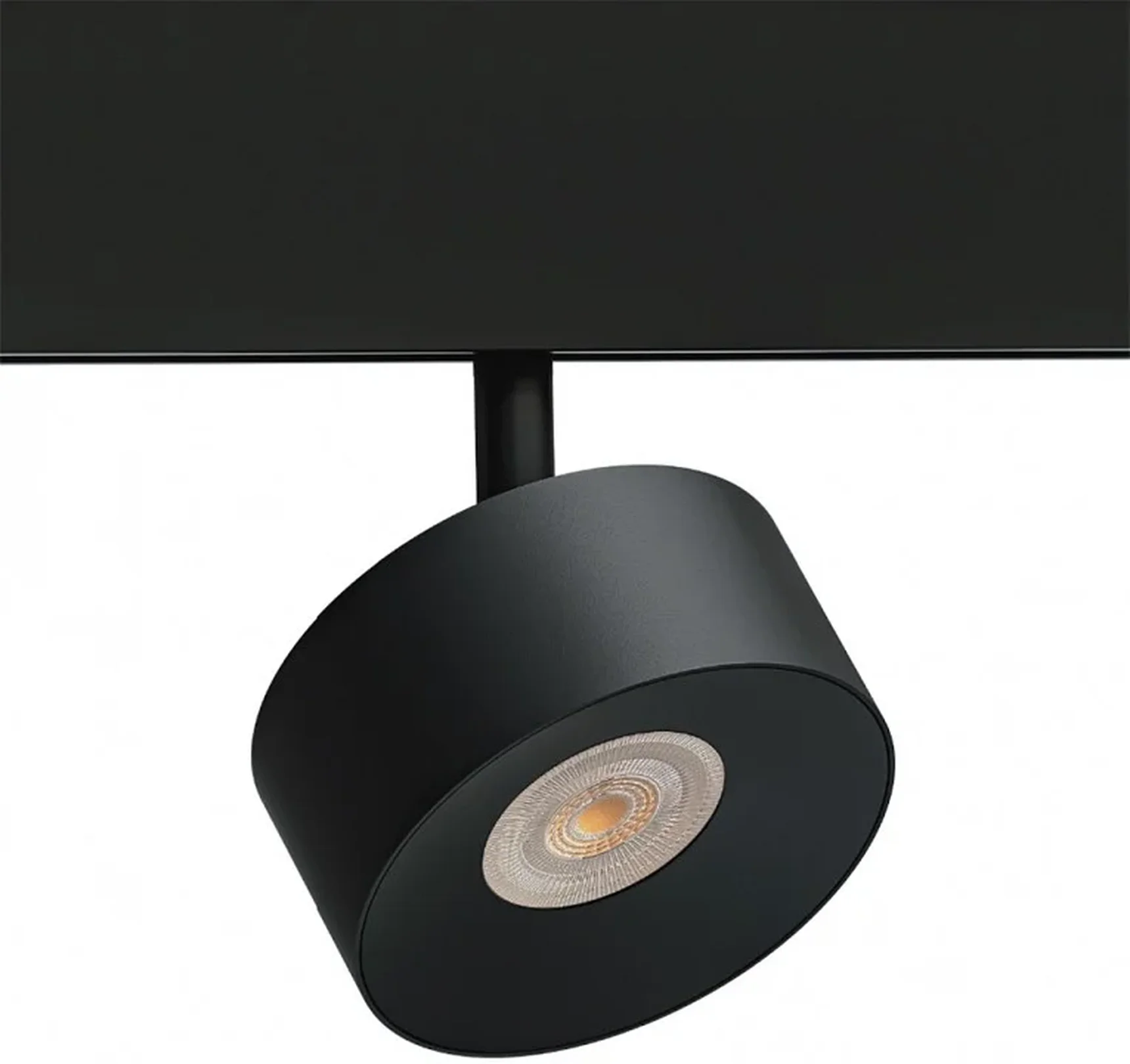 Светильник потолочный ARTE LAMP A4781PL-1BK
