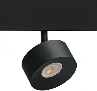Светильник потолочный ARTE LAMP A4781PL-1BK