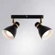 Светильник потолочный ARTE LAMP A5047PL-2BK