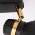 Светильник потолочный ARTE LAMP A5047PL-2BK