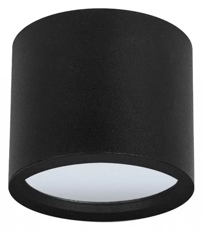 Светильник потолочный ARTE LAMP A5543PL-1BK