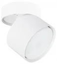 СВЕТИЛЬНИК ПОТОЛОЧНЫЙ INTERCRUS ARTE LAMP A5549PL-1WH