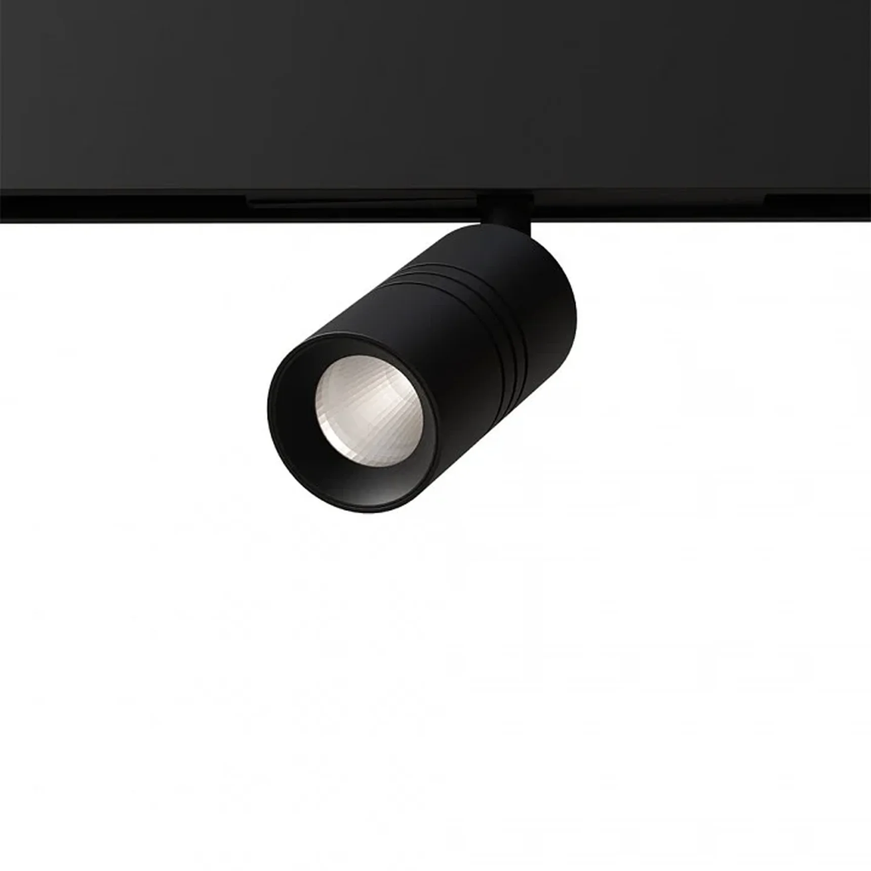 Светильник потолочный EXPERT ARTE LAMP A5740PL-1BK
