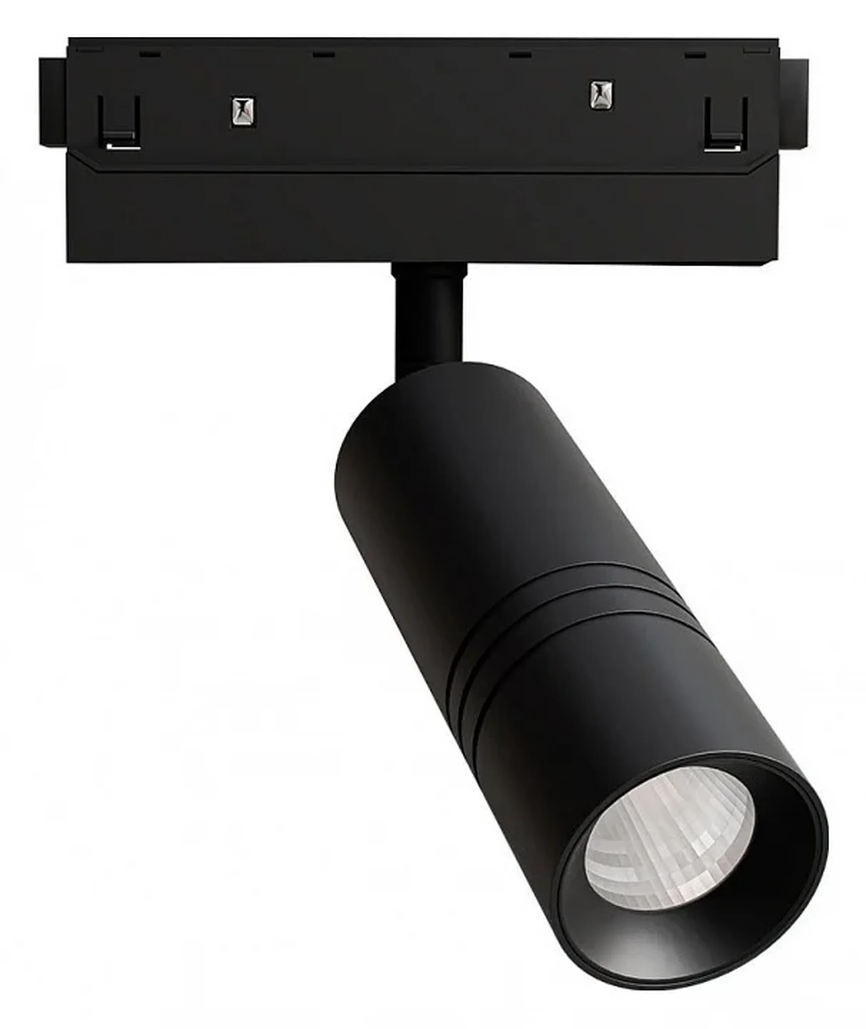 Светильник потолочный EXPERT ARTE LAMP A5741PL-1BK