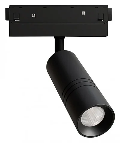 Светильник потолочный EXPERT ARTE LAMP A5741PL-1BK