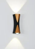 Настенный светильник Arte Lamp GUDJA A6026AP-10BK