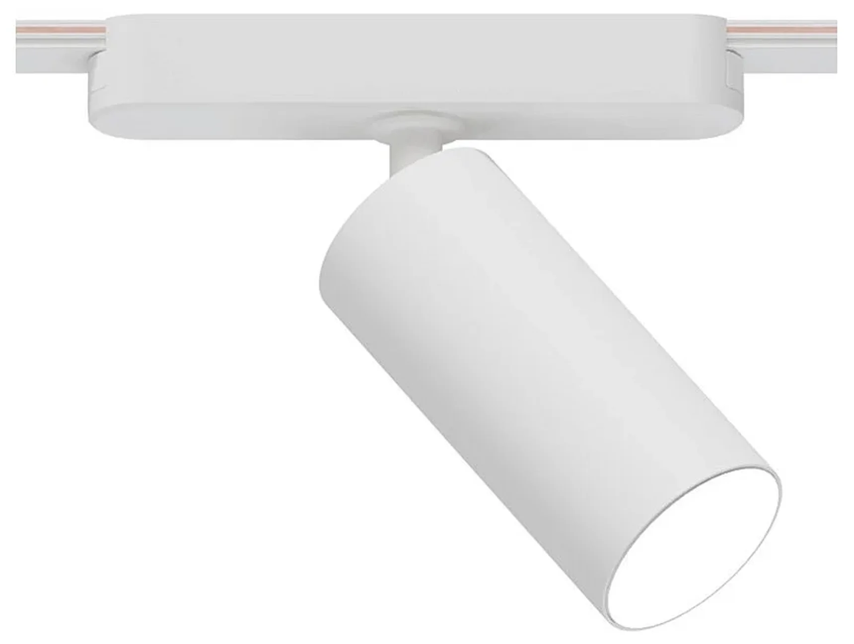 Светильник потолочный RAPID ARTE LAMP A6158PL-1WH