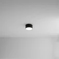Светильник потолочный ARTE LAMP A6612PL-1BK