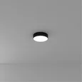 Светильник потолочный ARTE LAMP A6620PL-1BK