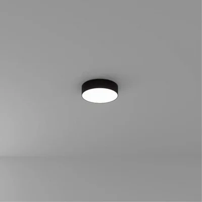 Светильник потолочный ARTE LAMP A6620PL-1BK