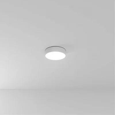 Светильник потолочный ARTE LAMP A6620PL-1WH