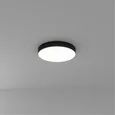 Светильник потолочный ARTE LAMP A6650PL-1BK