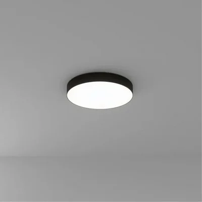 Светильник потолочный ARTE LAMP A6650PL-1BK