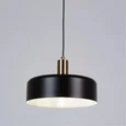 Светильник подвесной ARTE LAMP A7052SP-1BK