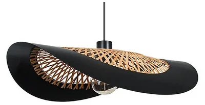 Подвесной светильник Arte Lamp WOODSTOCK A7059SP-1BK