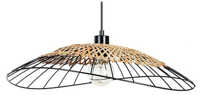 Подвесной светильник Arte Lamp WOODSTOCK A7061SP-1BK