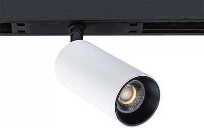 Светильник потолочный ARTE LAMP A7280PL-1WH