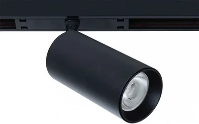 Светильник потолочный ARTE LAMP A7282PL-1BK