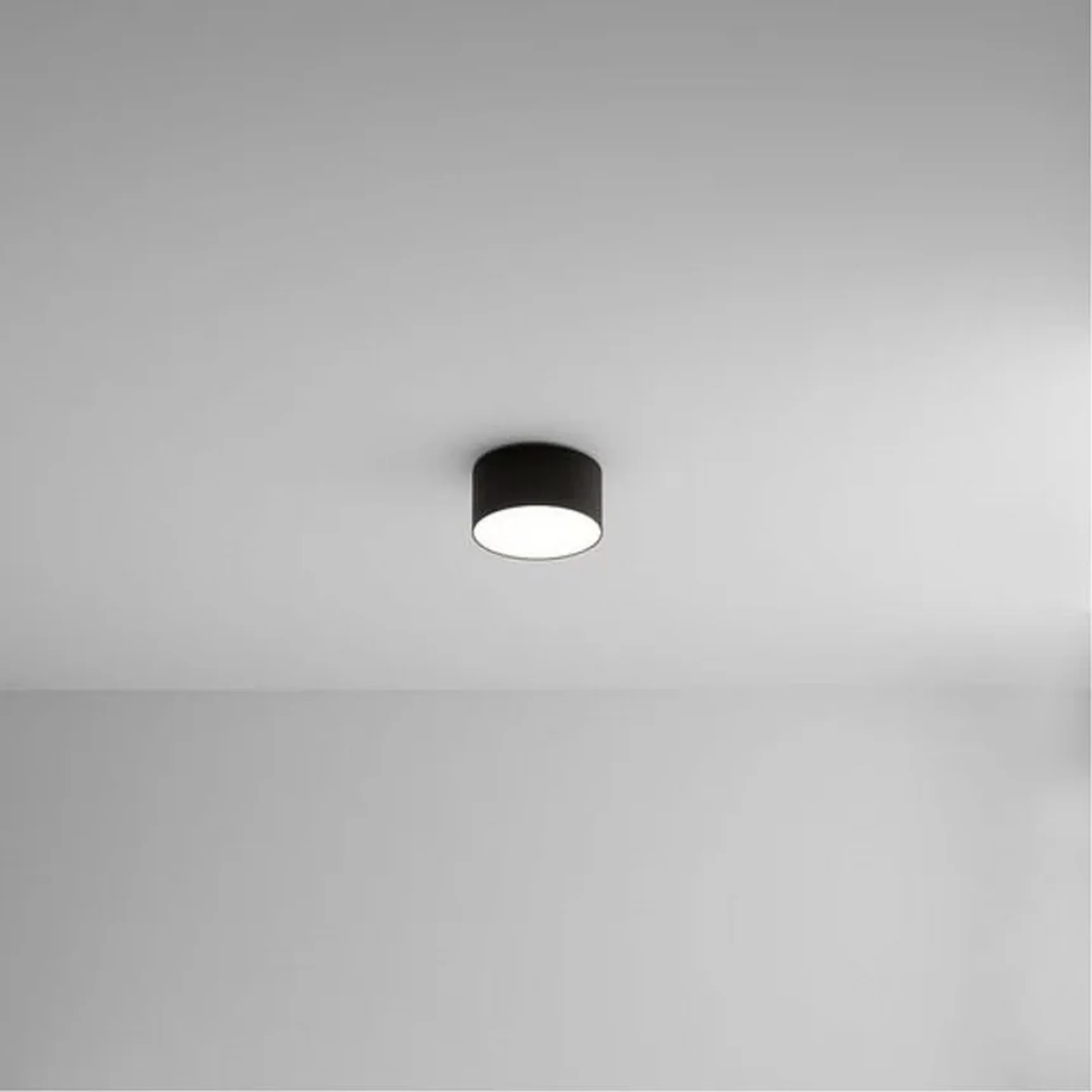 Светильник потолочный ARTE LAMP A7312PL-1BK