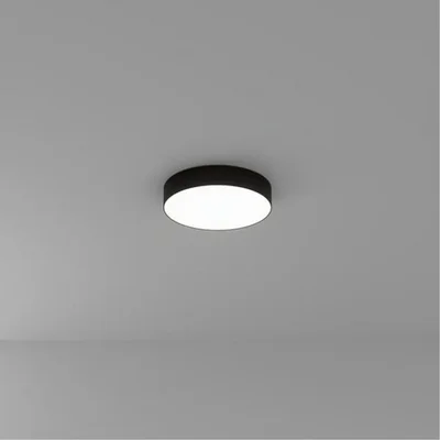 Светильник потолочный ARTE LAMP A7335PL-1BK