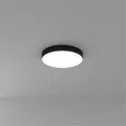 Светильник потолочный ARTE LAMP A7350PL-1BK