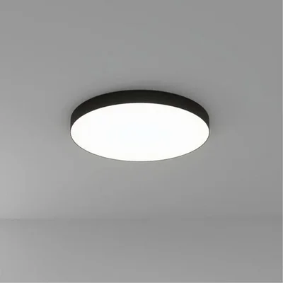 Светильник потолочный ARTE LAMP A7399PL-1BK