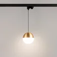 Светильник LGD-EMISFERO-TRACK-HANG-4TR-R150-11W Day4000 (GD, 170 deg, 230V) (Arlight, IP20 Металл, 3 года)