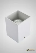 Потолочный накладной светильник белый AM Group AM01-110 WH