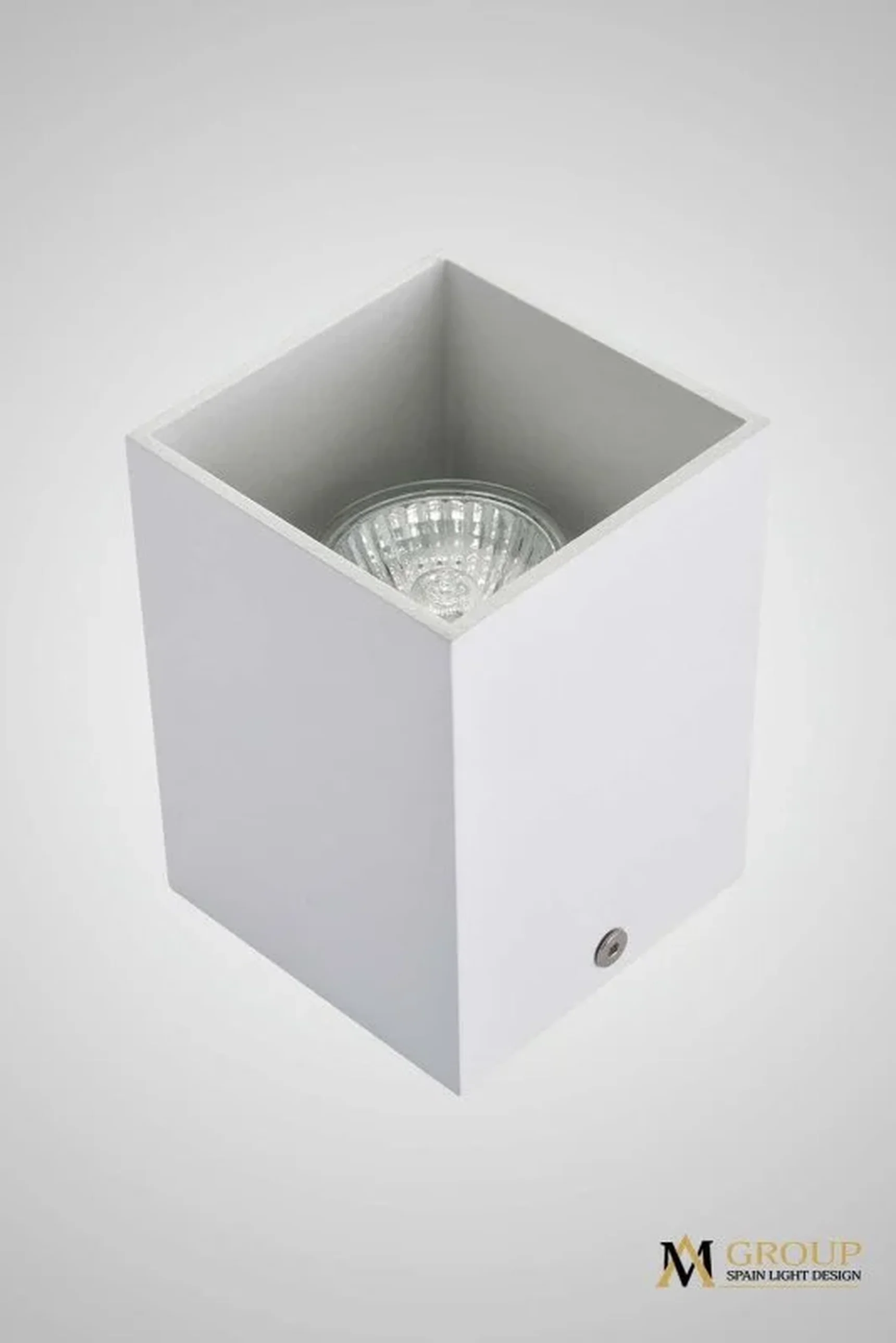 Потолочный накладной светильник белый AM Group AM01-110 WH